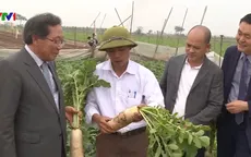 Giải pháp lâu dài cho nông sản Việt