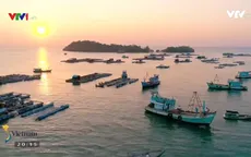 Ngày bình yên trên đảo Hải Tặc