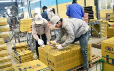 Từ bỏ các tập đoàn lớn, thanh niên Nhật thích khởi nghiệp và mở công ty riêng