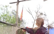 Cặp lá yêu thương: Khu vườn có nắng