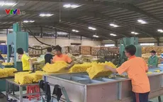 Thúc đẩy kinh tế khu vực tam giác phát triển CLV