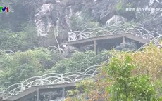 Tháo dỡ công trình xâm hại di tích Tràng An