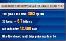 Thoái vốn Nhà nước tại Công ty CP Điện cơ Thống Nhất