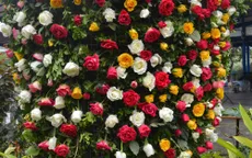 Ngắm hàng trăm cây hoa khoe sắc tại Lễ hội Hoa hồng 2018
