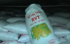 Phát hiện hơn 1.000 tấn lúa giống giả nhãn mác ở Cần Thơ