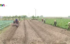 Năm 2018 sẽ có bộ tiêu chuẩn, quy chuẩn về phân bón hữu cơ