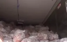 TP. Hồ Chí Minh: Bắt giữ container chứa 25 tấn thịt bẩn