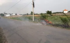 Tăng cường giải pháp ngăn ngừa tình trạng đốt đồng ven đường cao tốc