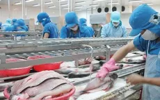 Tìm thị trường mới cho con cá tra - Không “bỏ trứng vào cùng một giỏ”