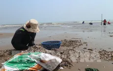 Ngư dân Hà Tĩnh trúng đậm sò huyết