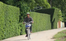 Ngỡ ngàng trước vẻ đẹp của làng quê Hà Tĩnh