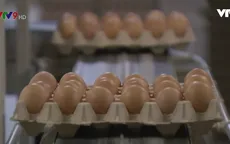 Mỹ: Thu hồi 200 triệu quả trứng vì nguy cơ bùng phát salmonella