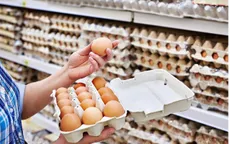 Vi khuẩn gây tiêu chảy Salmonella xâm nhập vào trứng gà như thế nào?