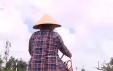 Cặp lá yêu thương: Điểm tựa cuộc đời con