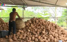 Tìm giải pháp bền vững cho chế biến nông sản