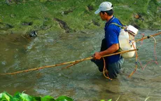 Hai thanh niên tử vong khi dùng điện chích cá ở suối Cam Ly