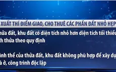 Đề xuất thí điểm giao, cho thuê các phần đất nhỏ hẹp tại TP.HCM