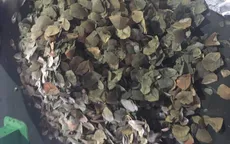 Bắt lượng vảy tê tê lớn nhất từ trước đến nay