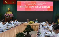 TP.HCM: Ngân sách chỉ đáp ứng khoảng 52% nhu cầu đầu tư công trung hạn