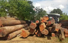 Cục Cảnh sát môi trường bắt vụ gỗ lậu quy mô lớn