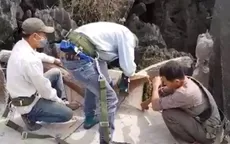 Bắt đầu tháo dỡ công trình xâm hại di tích Tràng An