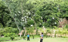 Độc đáo màn biểu diễn nghệ thuật với chim quý tại Nha Trang