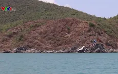 Gia tăng tình trạng phá rừng chiếm đất trên vịnh Vân Phong