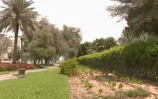 UAE phủ xanh những vùng đất sa mạc