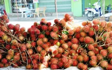 New Zealand nhập khẩu trái chôm chôm của Việt Nam