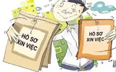 Cử nhân thất nghiệp - Những con số báo động