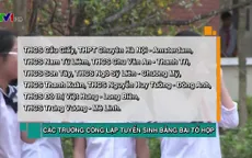 Hà Nội tuyển sinh lớp 6 bằng bài thi tổ hợp: Có tạo áp lực quá lớn cho HS?