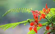 Những sự kiện đáng nhớ trong tháng 5