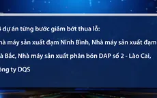 Xử lý 12 dự án kém hiệu quả của ngành Công Thương: Đã có những chuyển biến tích cực
