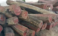 Đăk Nông: Tạm đình chỉ Trạm phó Trạm quản lý bảo vệ rừng số 1