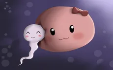 Các biện pháp ngừa thai tự nhiên
