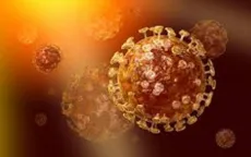 Đường ruột có thể là nguồn lây nhiễm virus MERS-CoV
