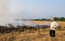 Đốt rơm rạ cạnh cao tốc phải báo trước