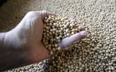 Trung Quốc xem xét gỡ bỏ thuế nhập khẩu đối với đậu nành Mỹ
