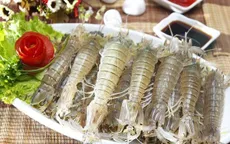 Bí quyết chọn tôm tít tươi ngon, chắc thịt