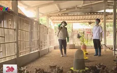 Bắc Giang: Cán bộ khuyến nông, thú y cấp xã lo mất việc đột ngột