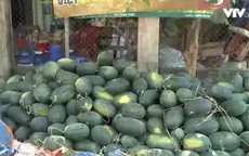 Quảng Nam: Nông sản rớt giá thê thảm, nông dân “khóc ròng”