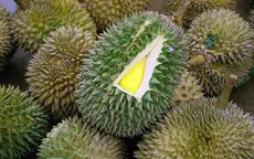 Bí quyết chọn sầu riêng ngon chín tự nhiên