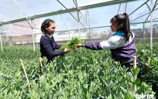 Độc đáo vườn hoa công nghệ cao của học sinh Trường Dân tộc nội trú