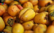 Lâm Đồng có thêm nhãn hiệu hồng Đà Lạt