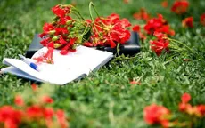 Trực tiếp Thế hệ số 18h30 (22/05): Gom ký ức - Những khoảnh khắc của tuổi học trò