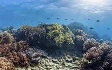 Dự án vẽ bản đồ thềm đại dương 2030