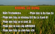 Đăk Nông khuyến cáo không sử dụng 6 sản phẩm phân bón kém chất lượng