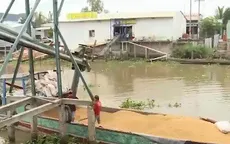 Xâm nhập cơ sở sản xuất lúa giả
