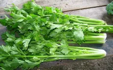 Điều gì sẽ xảy ra với cơ thể nếu bạn ăn cần tây trong một tuần