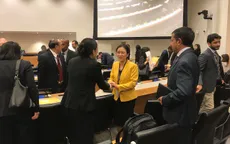 Việt Nam có cơ hội lớn trở thành Ủy viên không thường trực HĐBA nhiệm kỳ 2020-2021
